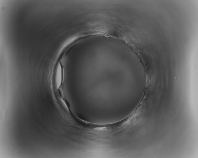 X0000093430054200710261028