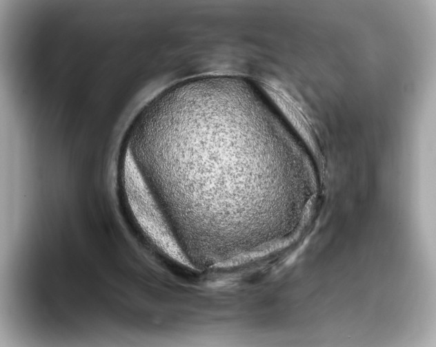 X0000093430055200710261028