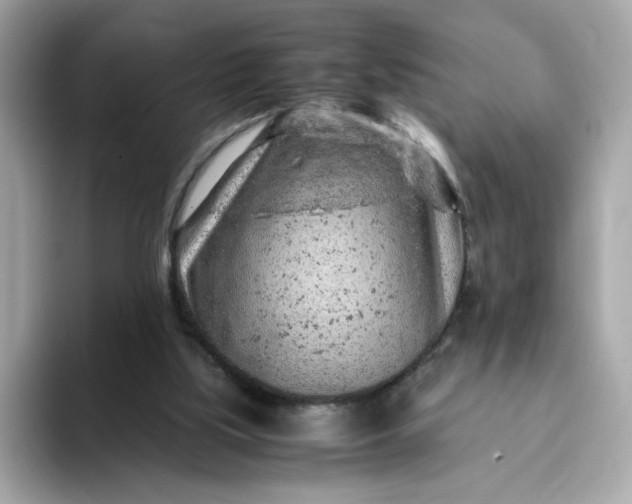 X0000093430059200710261028