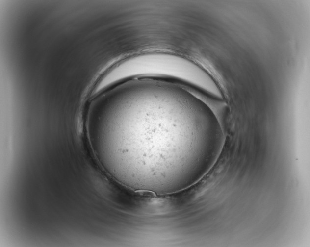 X0000093430060200710261028