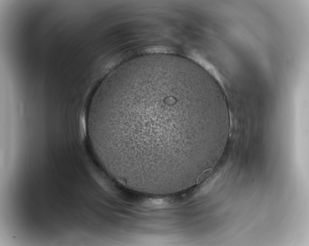 X0000093430061200710261028