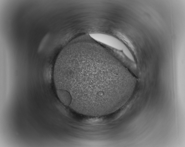 X0000093430065200710261028