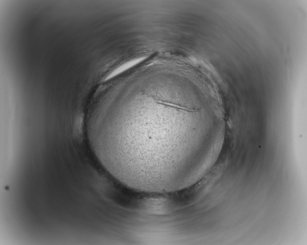 X0000093430066200710261028