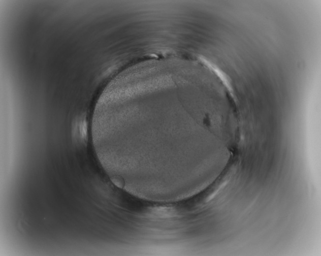 X0000093430067200710261028