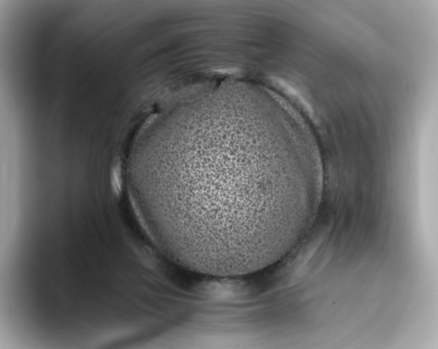 X0000093430069200710261028