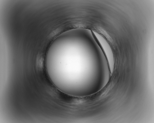 X0000093430071200710261028