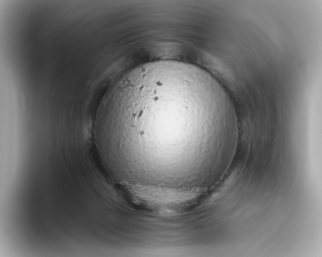 X0000093430073200710261028