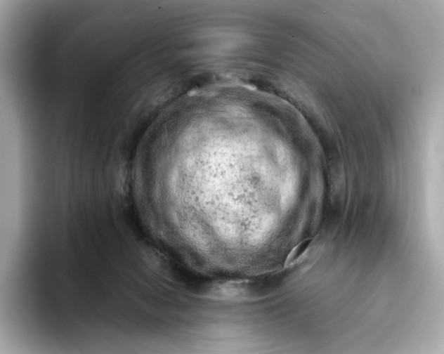 X0000093430078200710261028