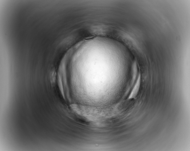 X0000093430081200710261028