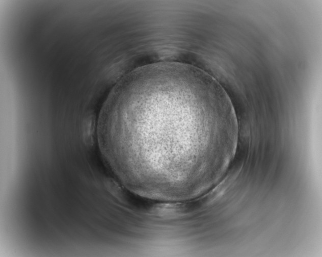 X0000093430082200710261028