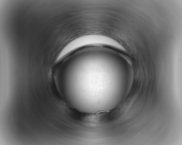 X0000093430084200710261028