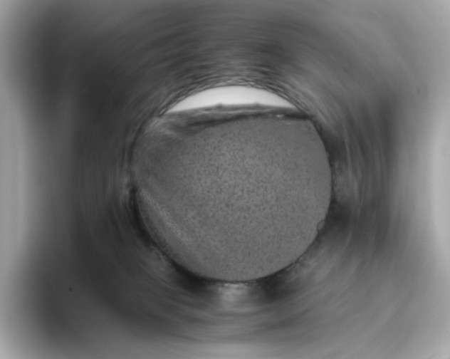 X0000093430085200710261028