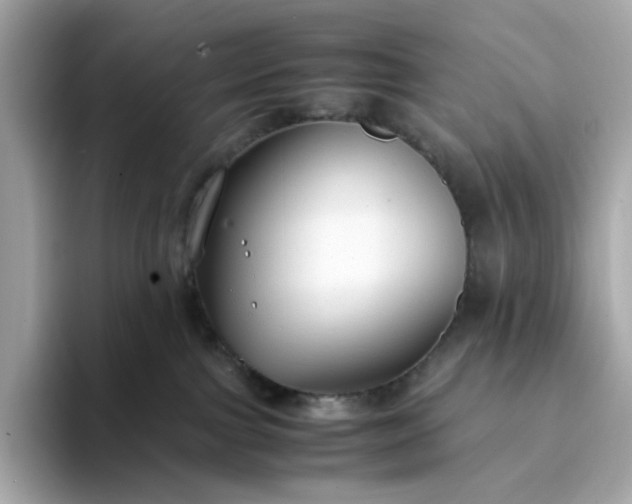 X0000093430091200710261028