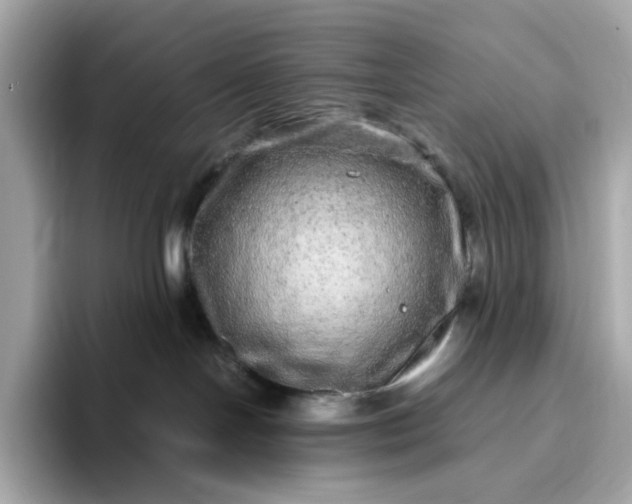 X0000093430094200710261028