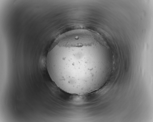 X0000093430096200710261028