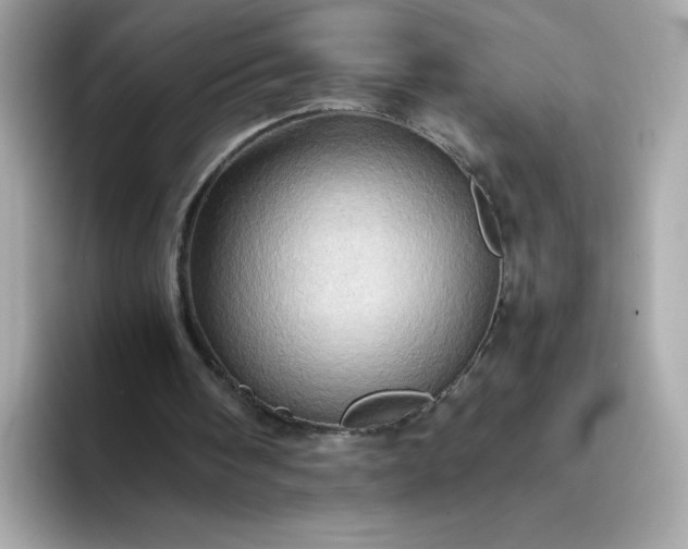 X0000093430098200710261028