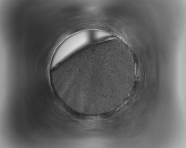 X0000093430099200710261028