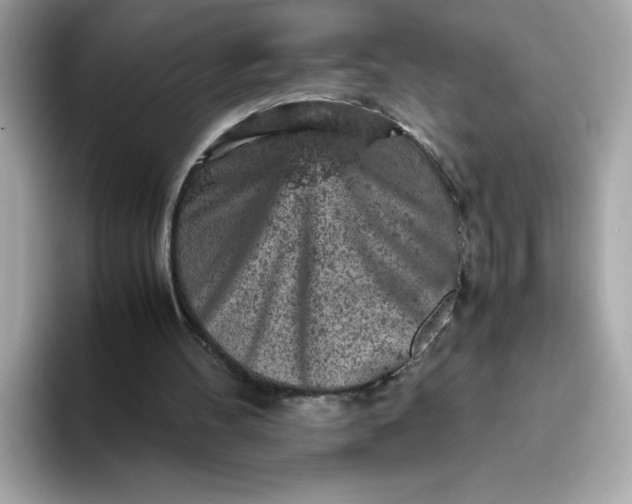 X0000093430100200710261028