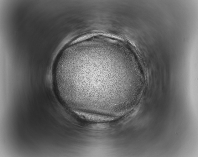 X0000093430102200710261028