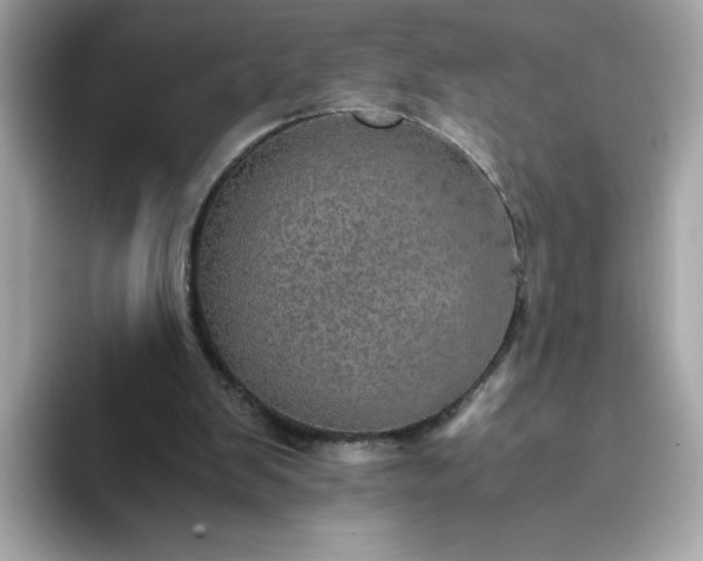 X0000093430103200710261028