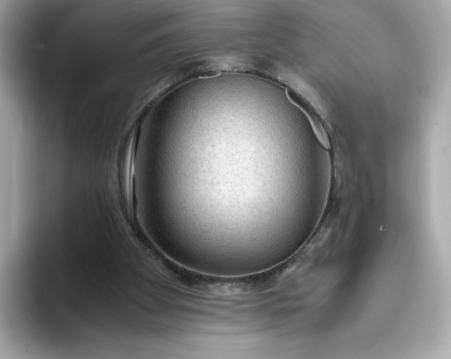 X0000093430105200710261028