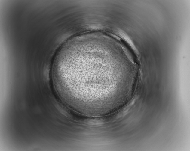 X0000093430106200710261027