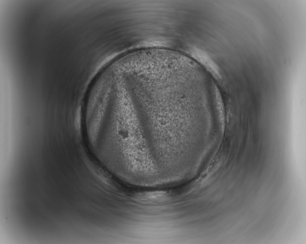 X0000093430108200710261027