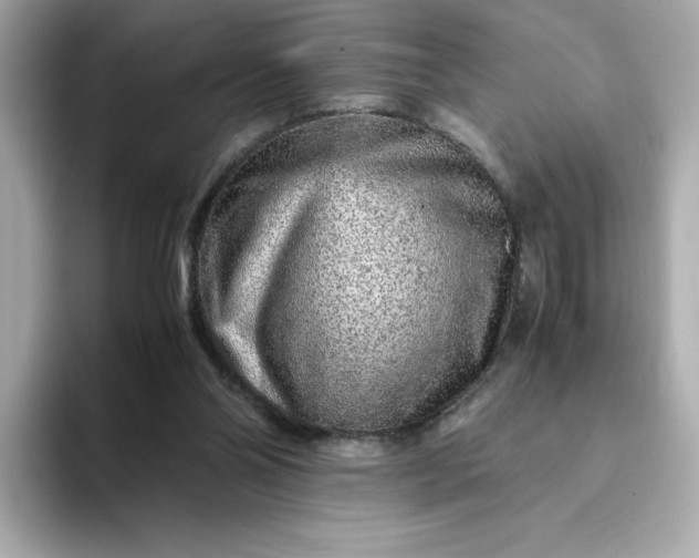 X0000093430110200710261027