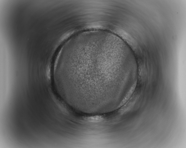 X0000093430112200710261027