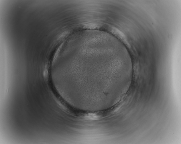 X0000093430114200710261027