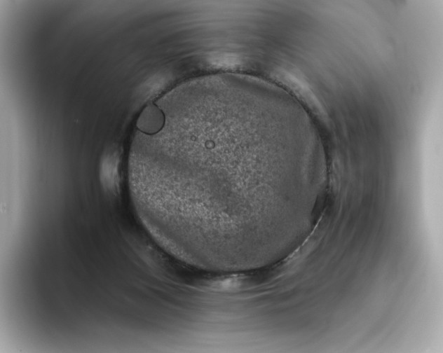 X0000093430116200710261027