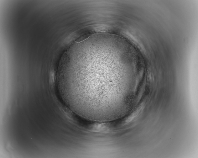 X0000093430117200710261027