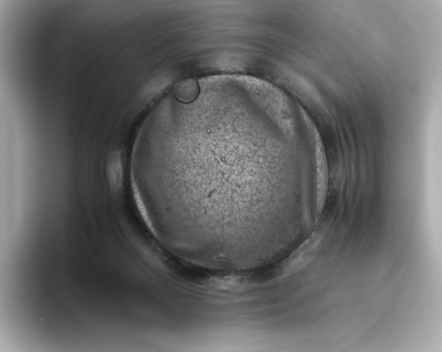 X0000093430120200710261027