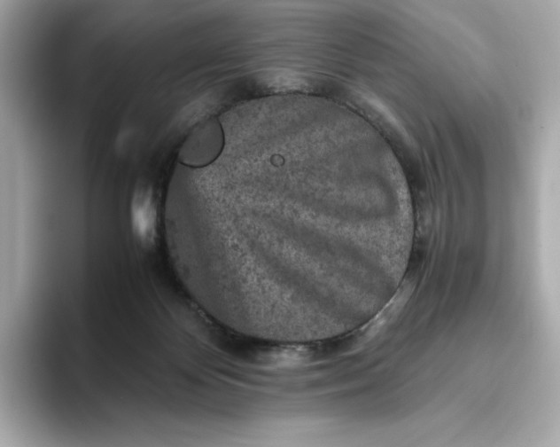 X0000093430124200710261027