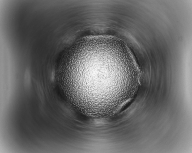 X0000093430134200710261027