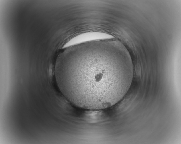 X0000093430135200710261027