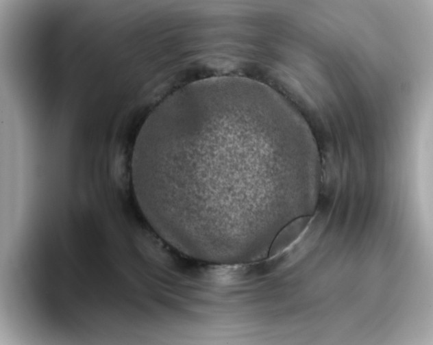 X0000093430136200710261027