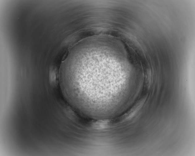 X0000093430138200710261027