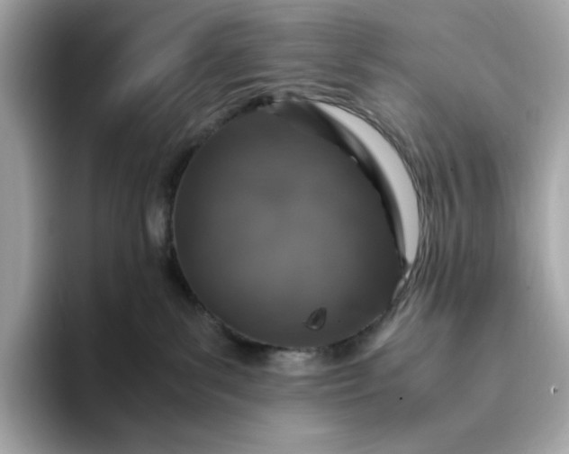 X0000093430139200710261027