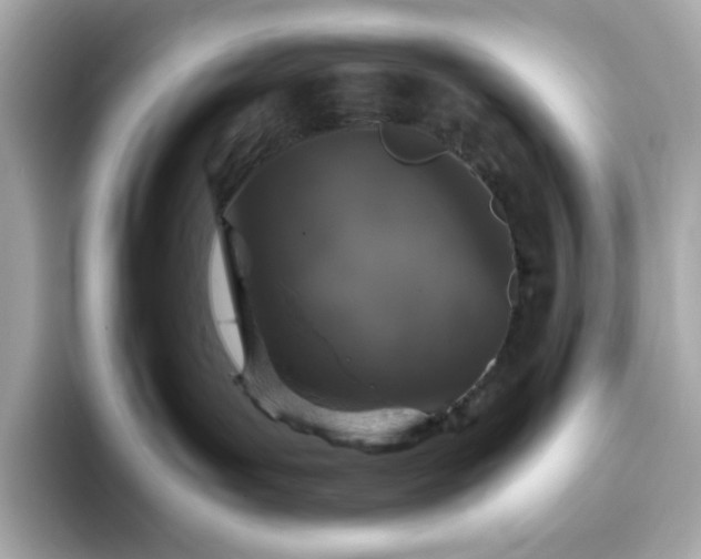 X0000093430143200710261027