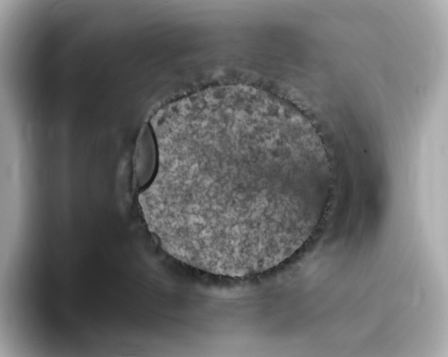 X0000093430144200710261027