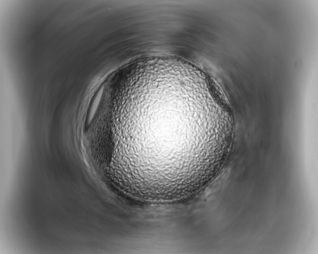 X0000093430145200710261026