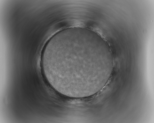 X0000093430146200710261026