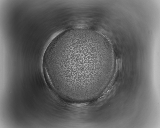 X0000093430147200710261026