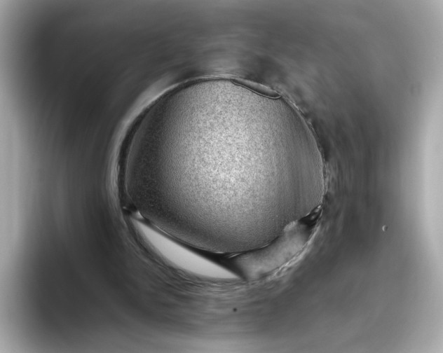 X0000093430150200710261026