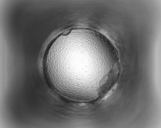 X0000093430151200710261026