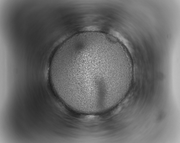 X0000093430153200710261026