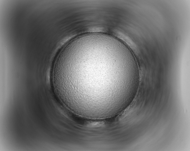 X0000093430155200710261026