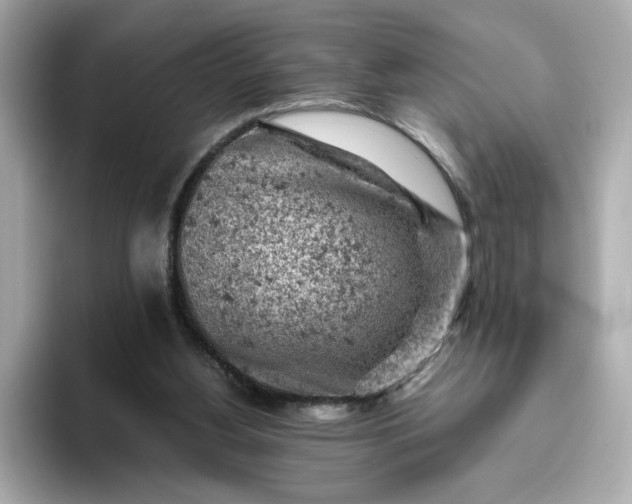 X0000093430156200710261026