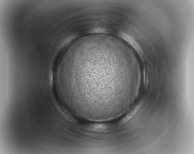 X0000093430157200710261026